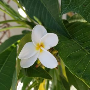 Meet your Posher, Regina